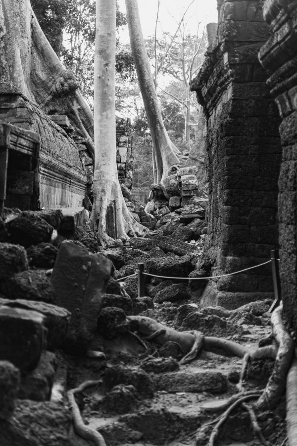 ta prohm-94.jpg